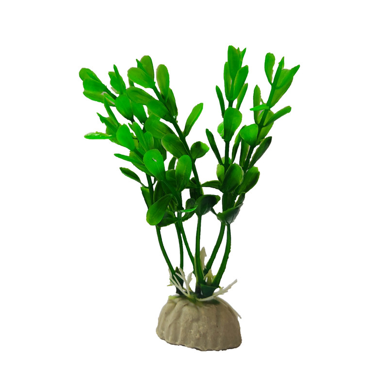 null