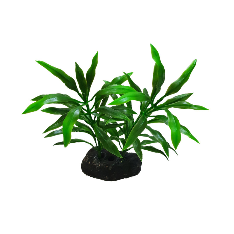 null