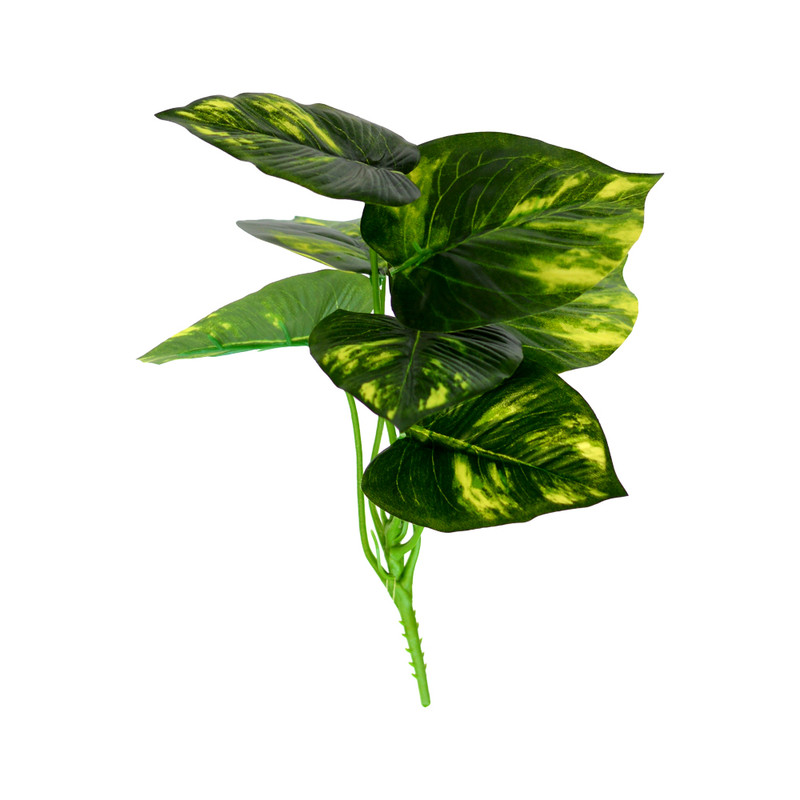 null