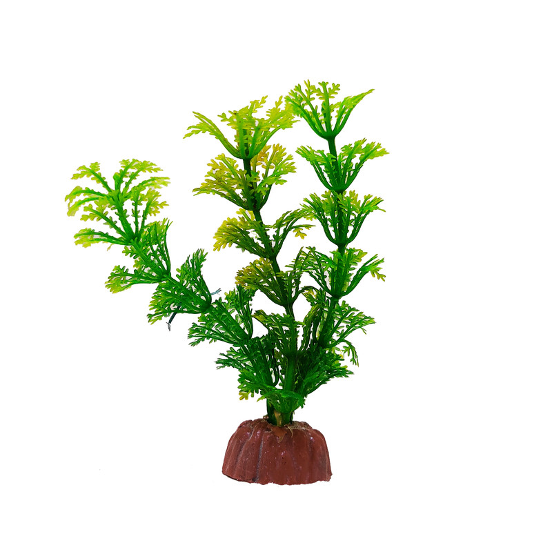 null