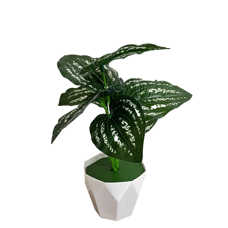 null