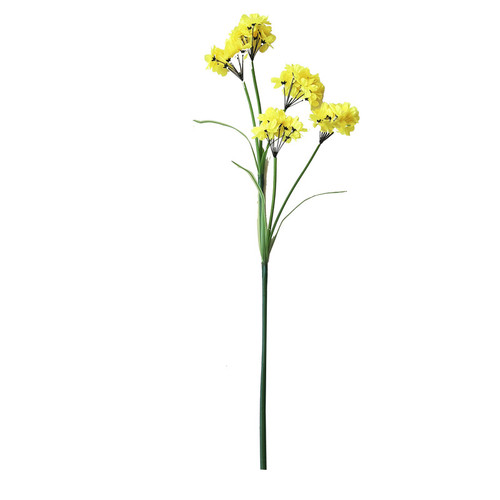 null